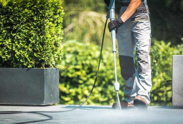 Best Building Exterior Washing  in Belmond, IA